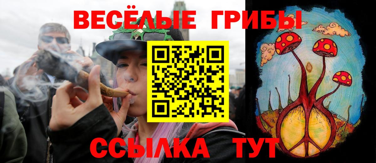 Псилоцибиновые грибы мухоморы  Вход с VPN  сколько стоит  Кинель  Галлюциногенные грибы Magic Shrooms 