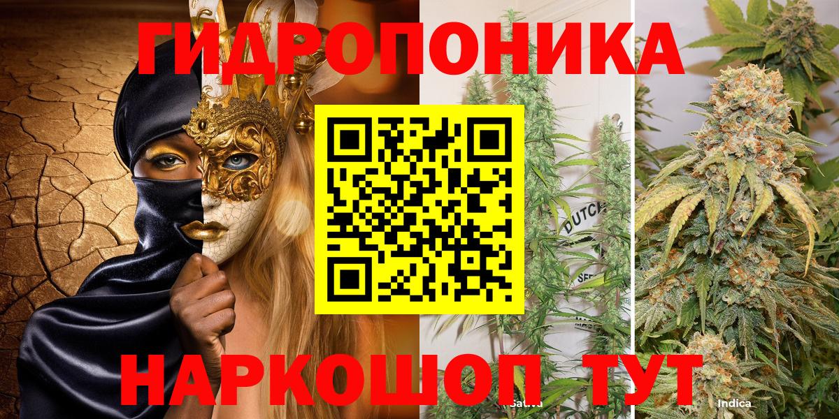 Шишки марихуана план Кинель